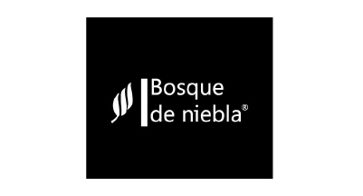 Bosque_niebla